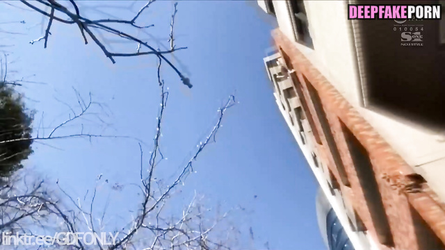 (지수 블랙핑크) Jisoo having the best sex in her life (with fan) - fakeapp [PREMIUM]