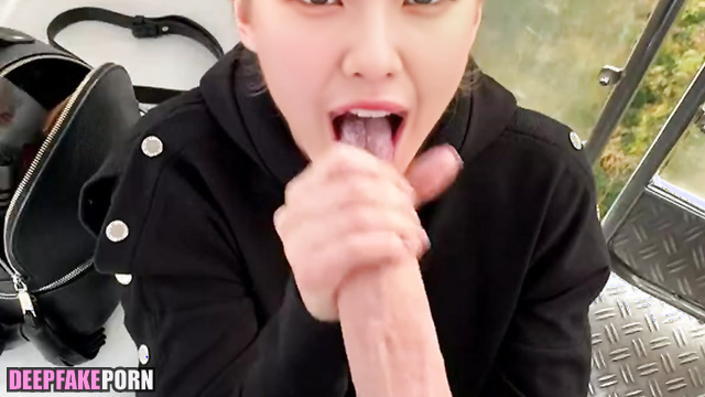 Romantic blowjob on the Ferris wheel (Irene real fake) 아이린 레드벨벳